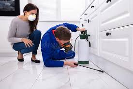 Reliable Springfield, MI Pest control Solutions